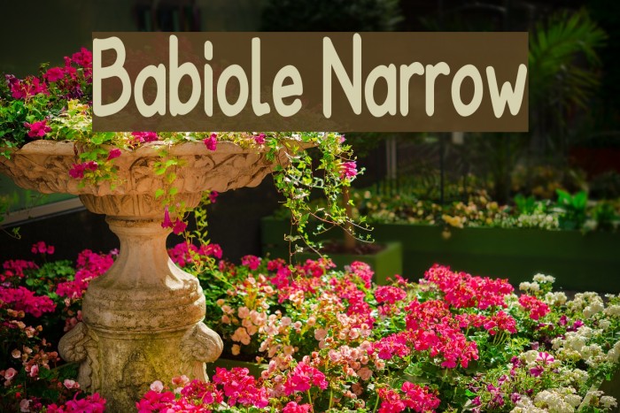 Babiole Narrow Font examples