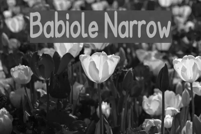 Babiole Narrow Font examples