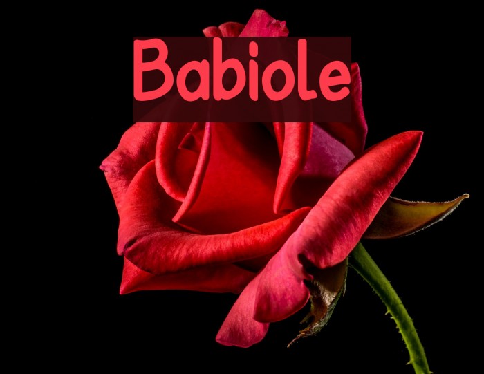 Babiole Font examples