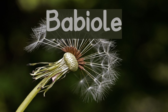 Babiole Font examples