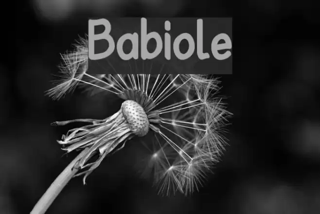 Babiole Шрифта examples