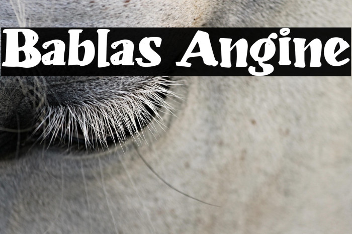 Bablas Angine Example 2