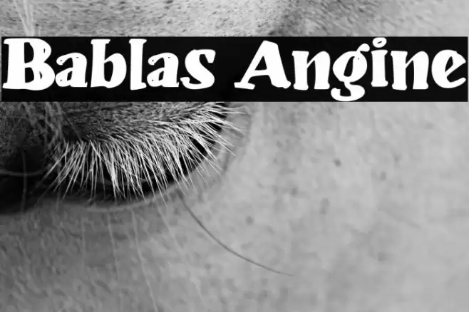Bablas Angine Font examples