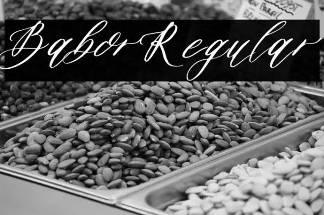 BaborRegular Font examples