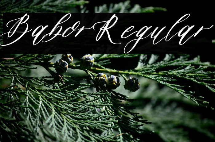 BaborRegular Example 2