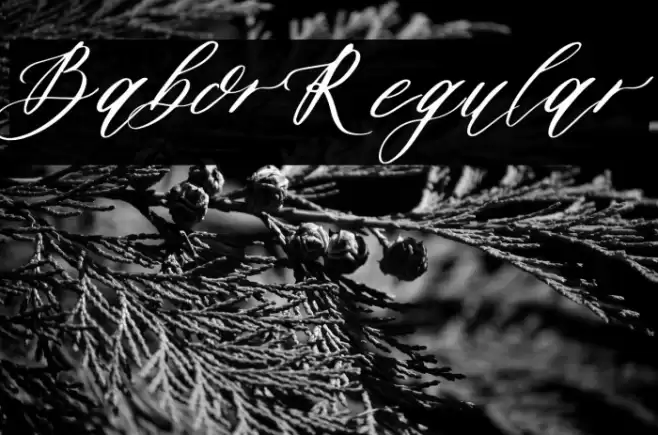 BaborRegular Font examples
