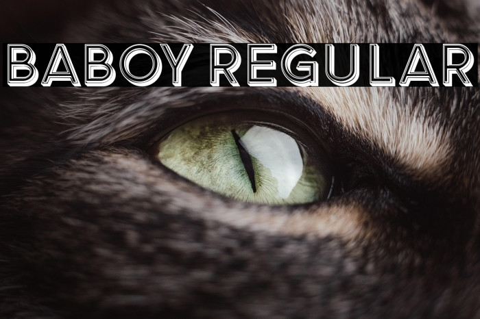 Baboy Regular Example 1