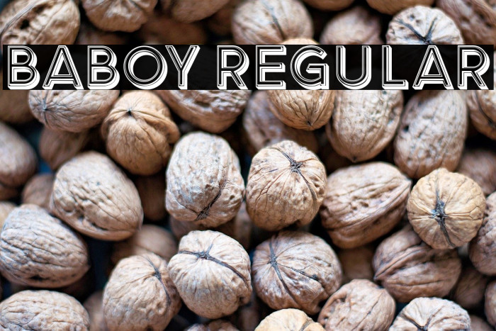 Baboy Regular Example 3