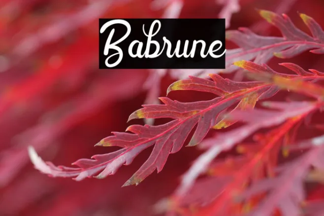 Babrune Example 3