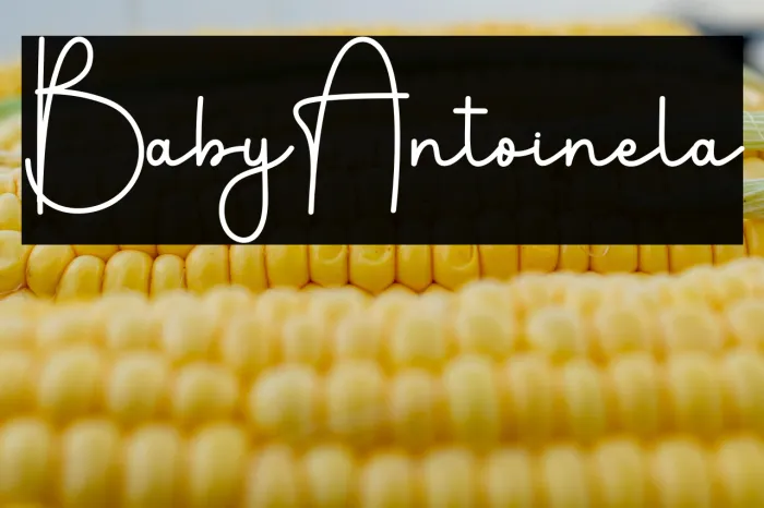 Baby Antoinela Example 3