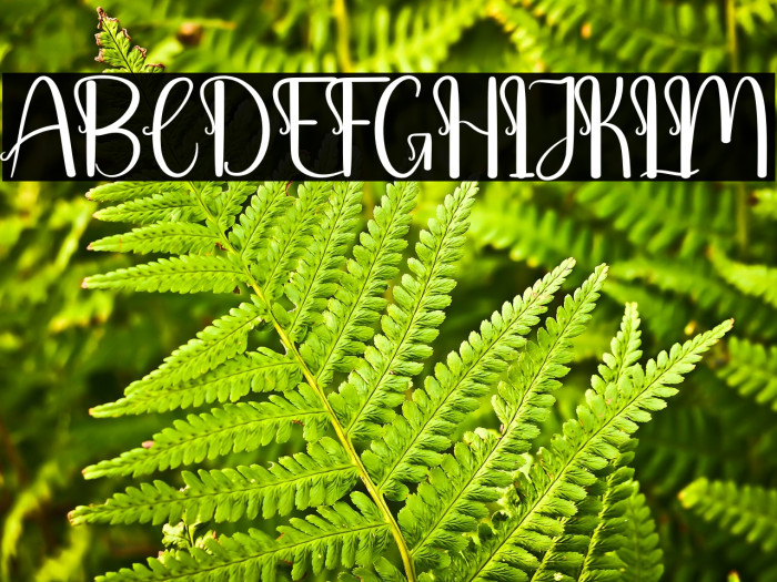 Baby Barbie Example 1