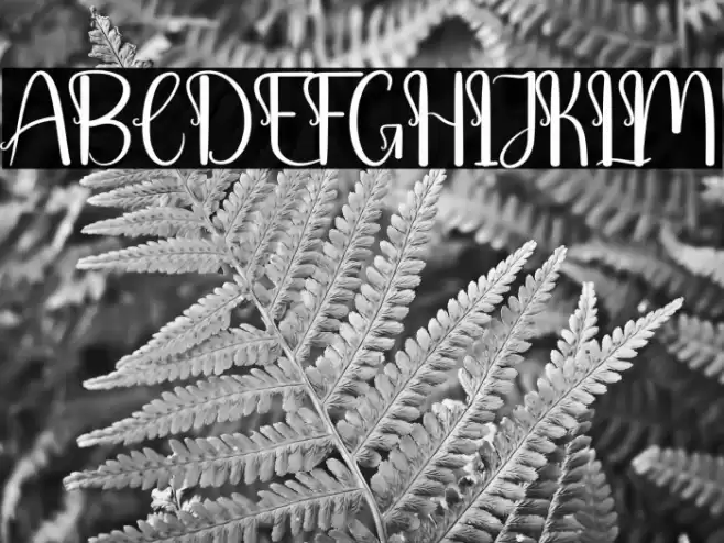 Baby Barbie Font examples