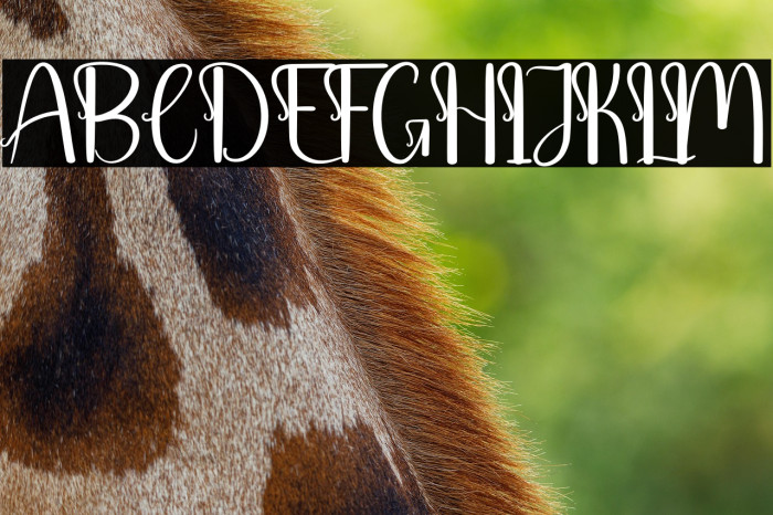 Baby Barbie Example 3