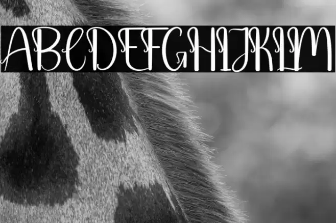 Baby Barbie Font examples