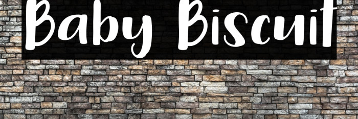 Baby Biscuit Example 1