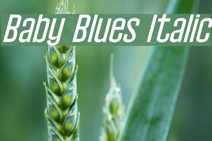 Baby Blues Italic Example 2