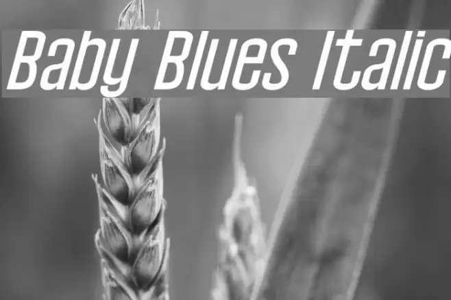 Baby Blues Italic Font examples