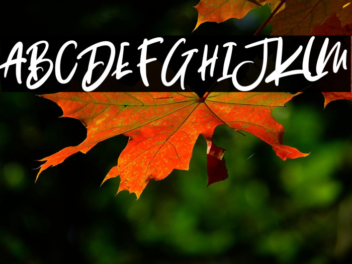 Baby Boomer Regular Example 3