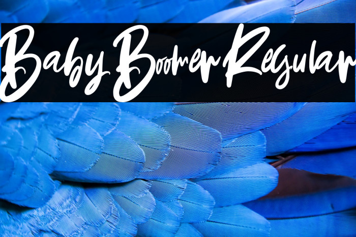 Baby Boomer Regular Example 2