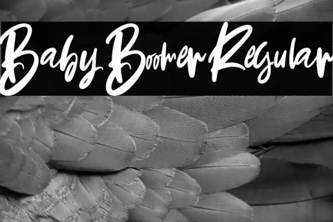 Baby Boomer Regular Font examples