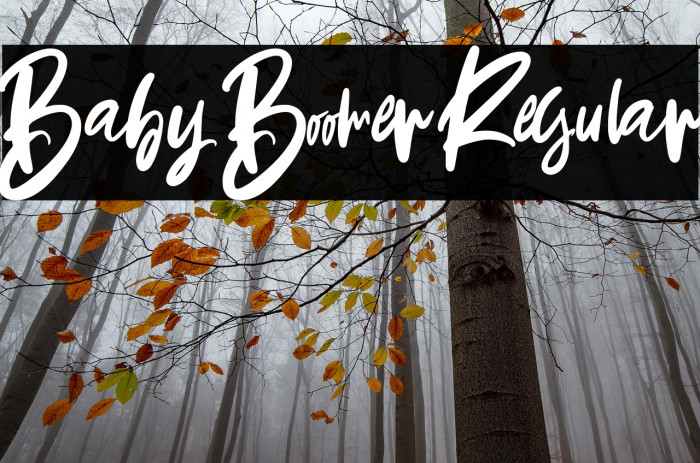 Baby Boomer Regular Example 3