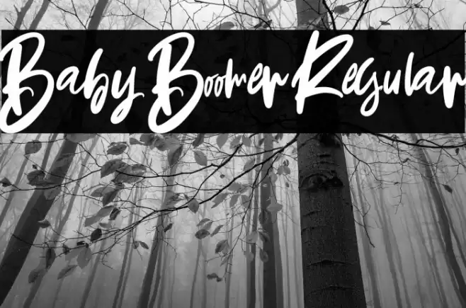 Baby Boomer Regular Font examples