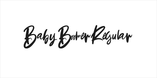 Baby Boomer Regular Logo