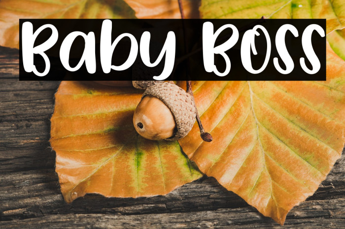 Baby Boss Example 1
