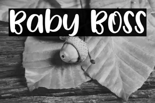 Baby Boss Font examples