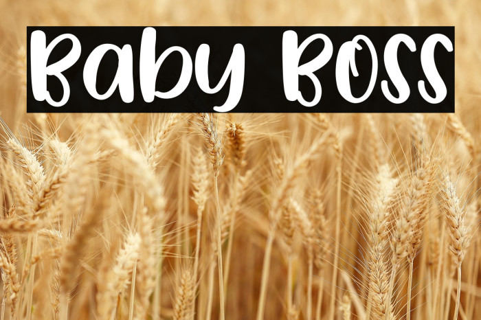Baby Boss Example 3