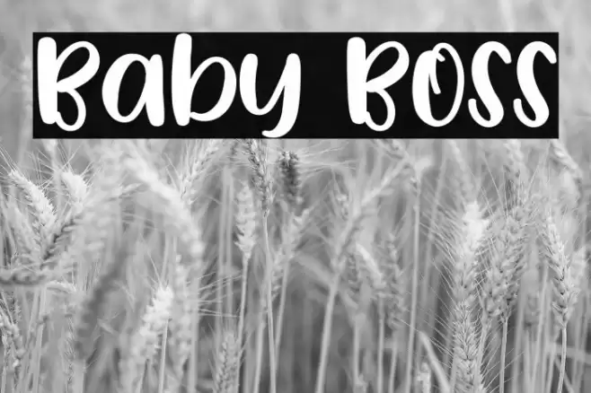 Baby Boss Font examples