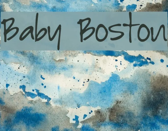 Baby Boston Example 3