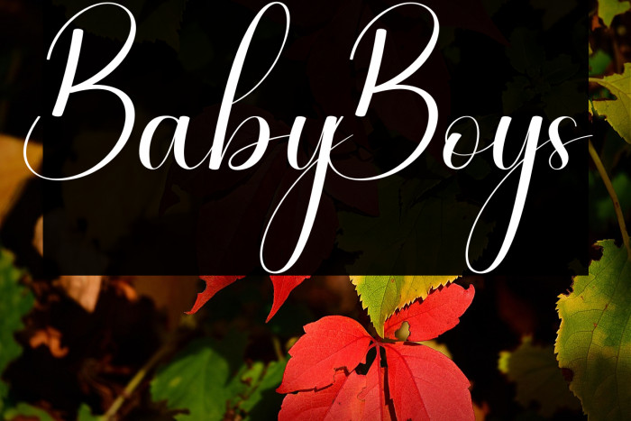 Baby Boys Example 2