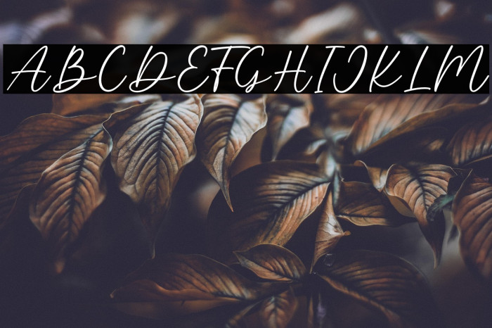 Baby Breath Example 2