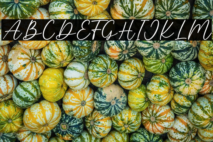 Baby Breath Example 3