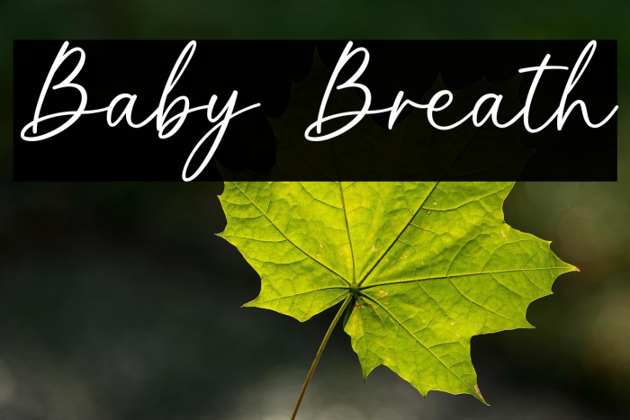 Baby Breath Example 1