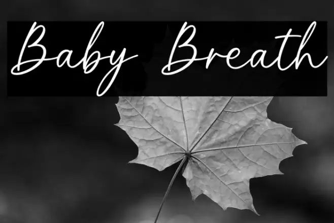 Baby Breath Font examples