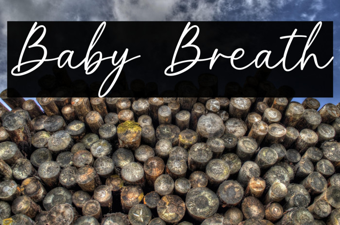 Baby Breath Example 3