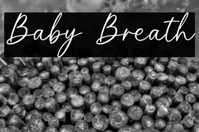 Baby Breath Font examples