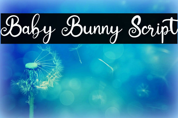 Baby Bunny Script フォント examples