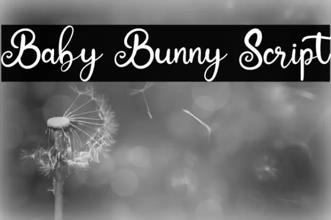Baby Bunny Script フォント examples