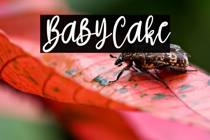 Baby Cake Example 1