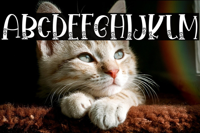 Baby Camila Love Example 3