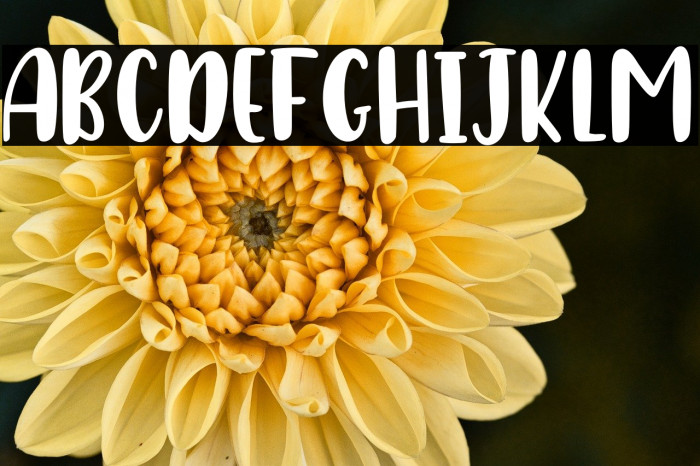 Baby Caroline Sans Example 1