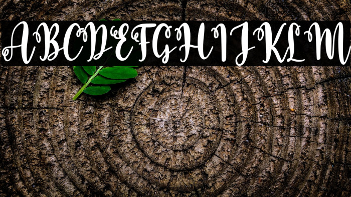 Baby Caroline Script Example 1