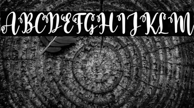 Baby Caroline Script Font examples