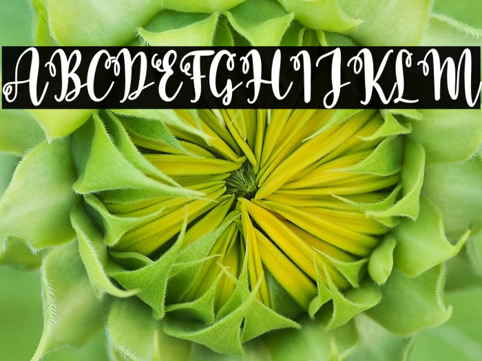 Baby Caroline Script Example 3