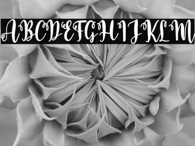 Baby Caroline Script Font examples