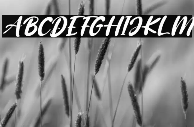 Baby Coffee Italic Font examples