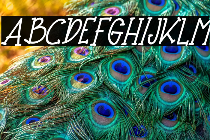 Baby Crab Italic Example 2